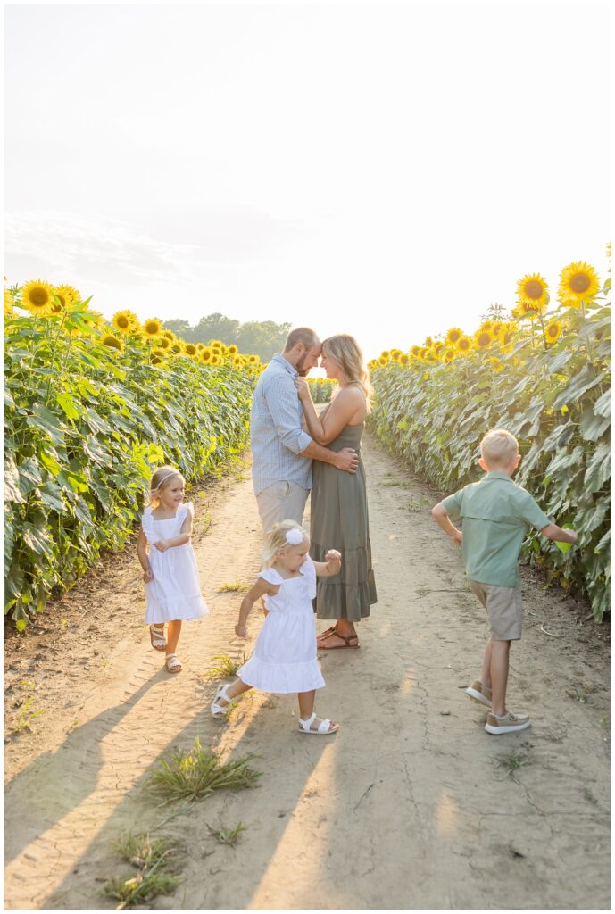 summer sunflower mini sessions with Fremont, Ohio family photographer
