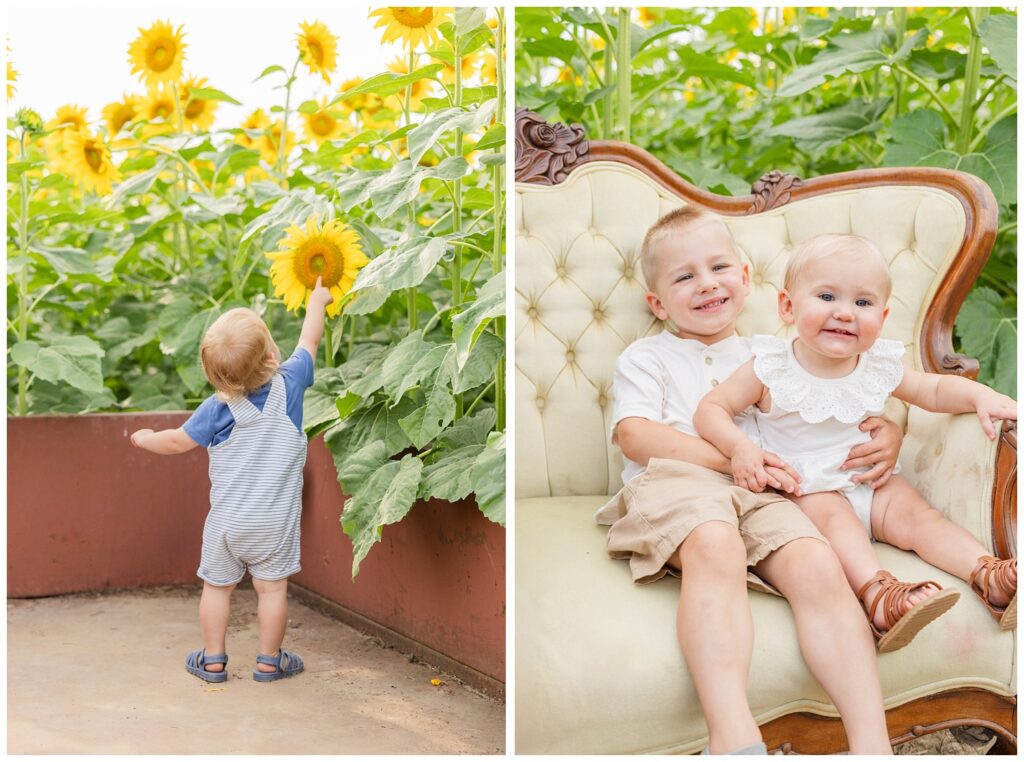 sunflower family mini sessions with Lindsey, Ohio photographer