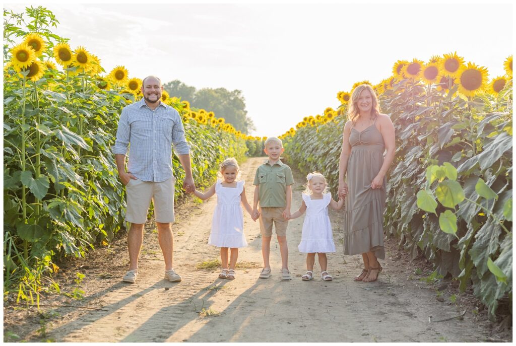 family posing among the sunflowers for Lindsey, Ohio mini sessions