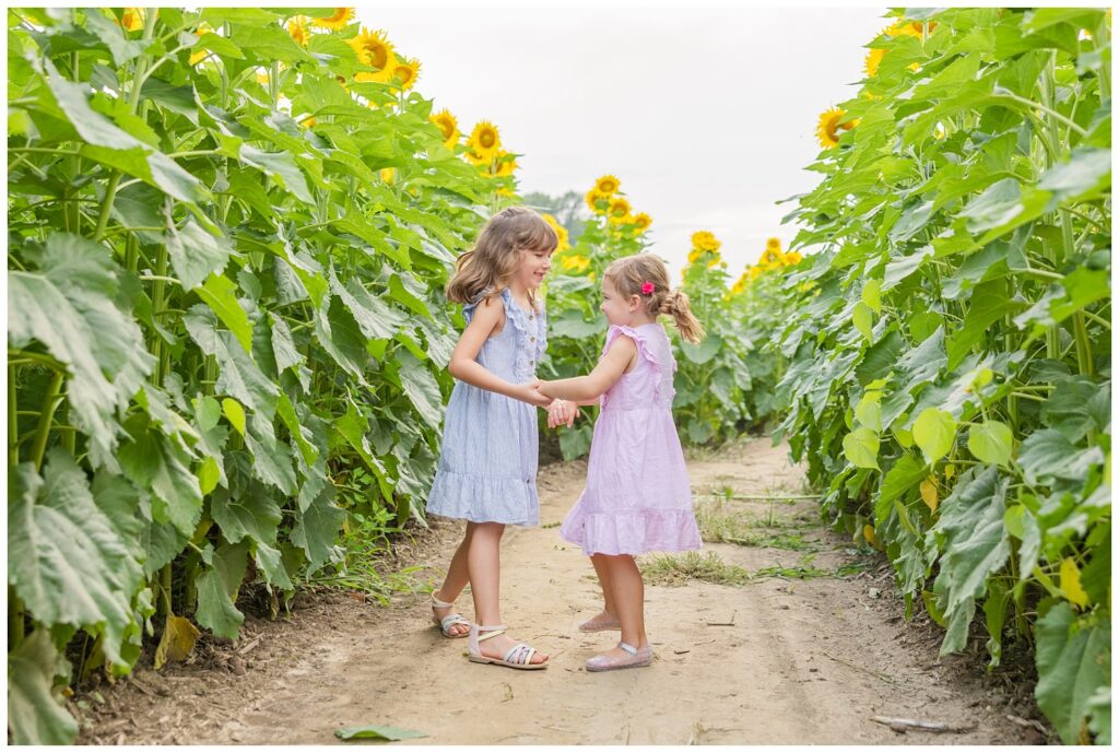 two girls dancing in between sunflowers at Lindsey, Ohio mini session