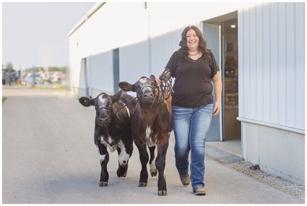 senior girl walking with her two brown cows outside a white barn in northwest Ohio