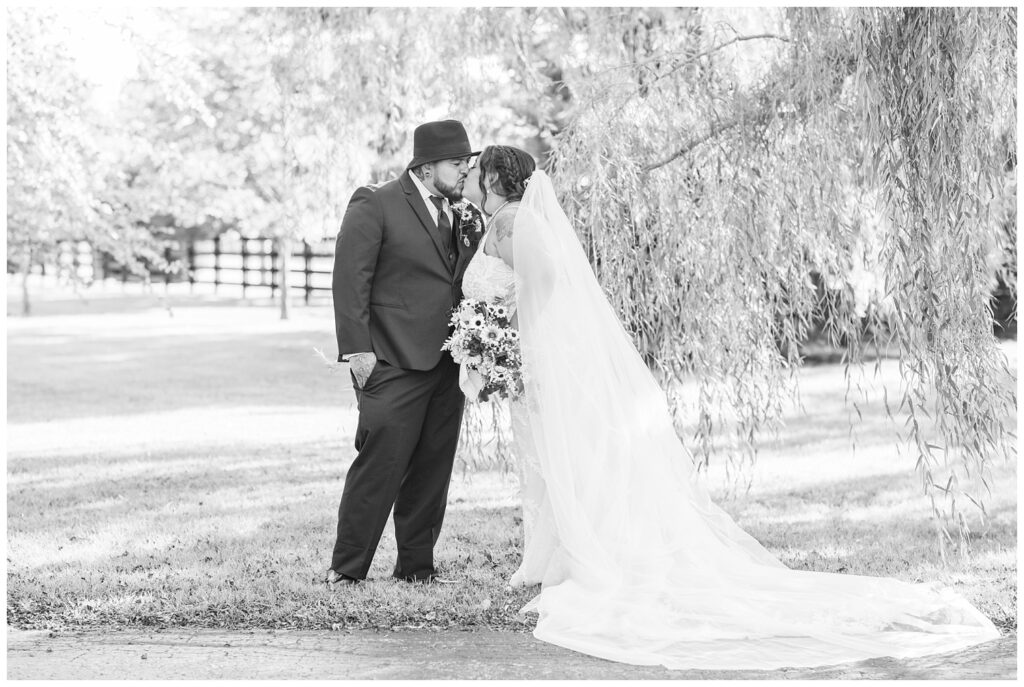 bride and groom kissing under a willow tree in Fremont, Ohio