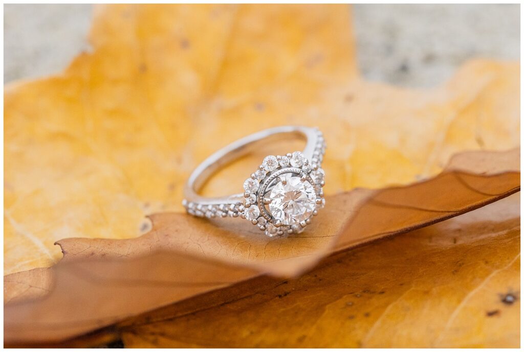 round diamond engagement ring sitting on the edge of a yellow leaf in Tiffin, Ohio